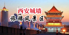 美女骚逼图片黄色网站不用下载就可以看中国陕西-西安城墙旅游风景区